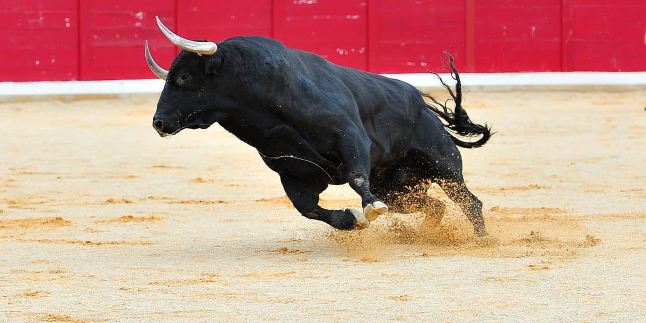 Swipe-Kurs explodiert: Das steckt dahinter der 270-Prozent-Rallye bei SXP