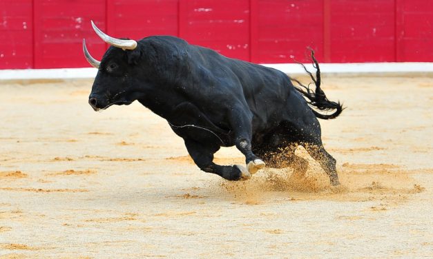 Swipe-Kurs explodiert: Das steckt dahinter der 270-Prozent-Rallye bei SXP