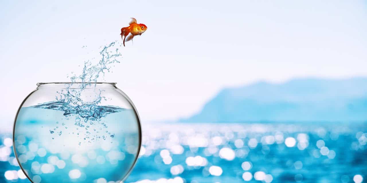 Wie Bitcoin, nur besser? Abramoff legt Geständnis im AML-Betrug ab