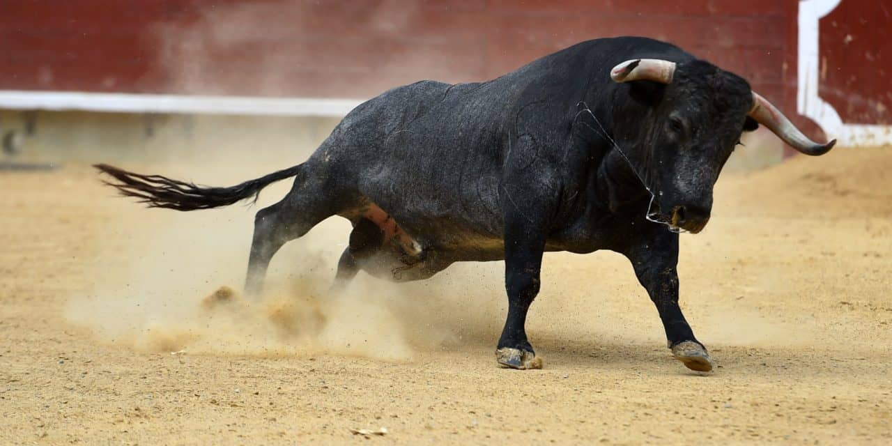Ethereum-Netzwerk so stark wie im Bullenjahr 2017