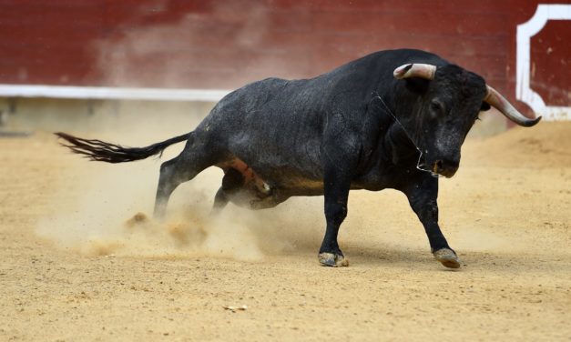 Ethereum-Netzwerk so stark wie im Bullenjahr 2017