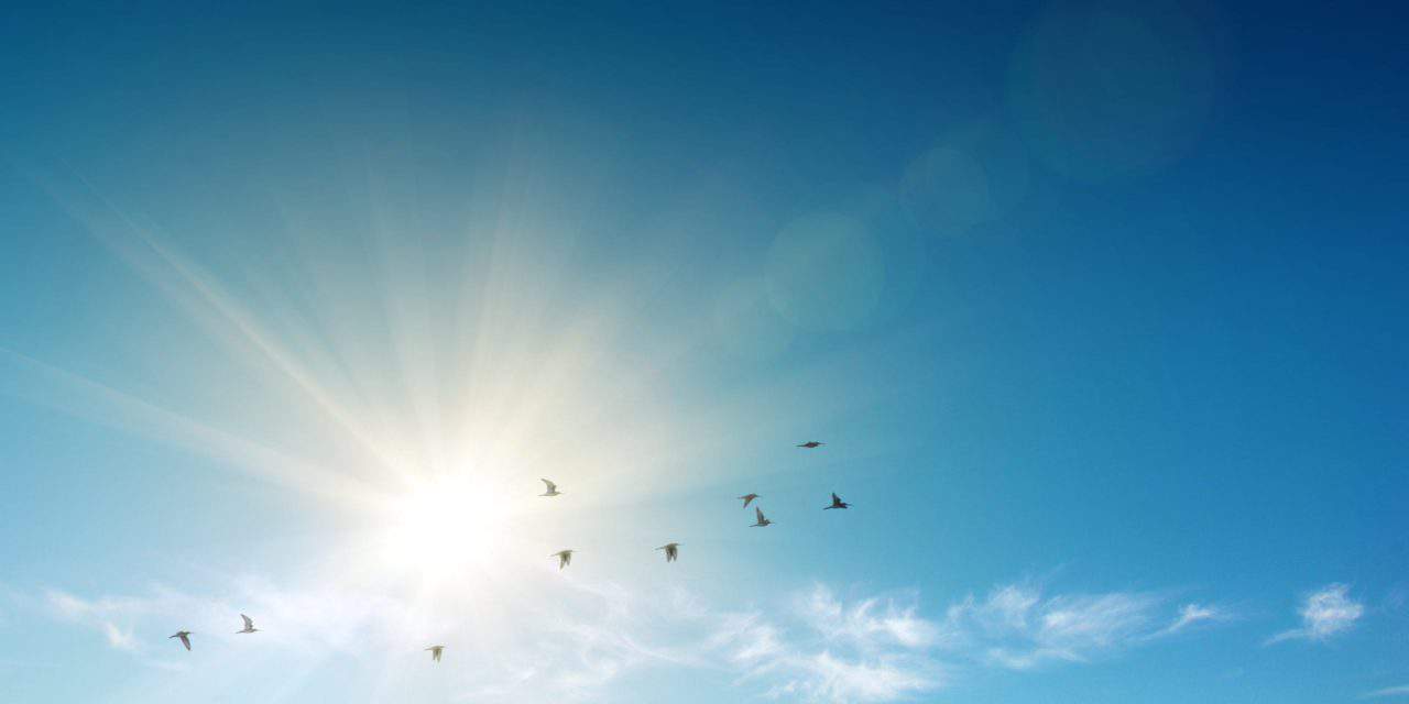 Bitcoin-Kurs (BTC): Ist ein neues Allzeithoch in Sichtweite?