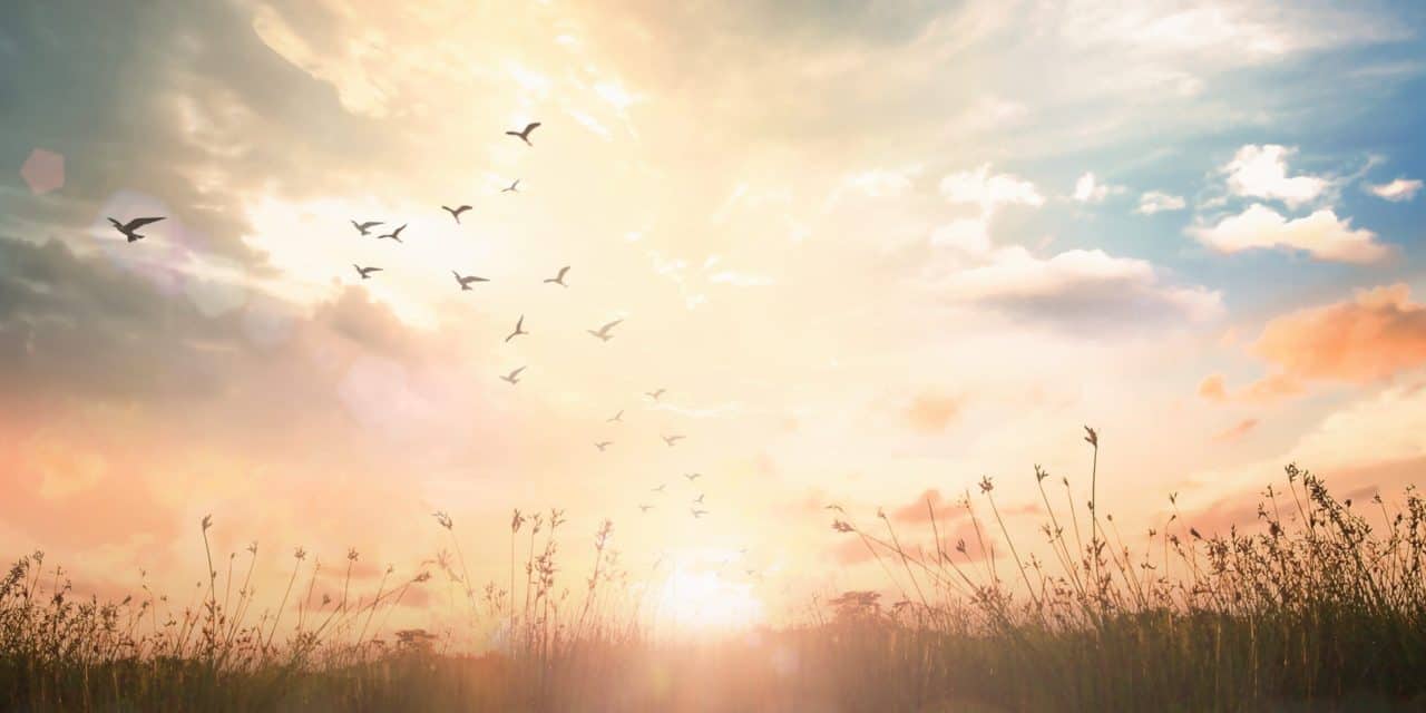 5 Gründe wieso wir Bitcoin brauchen