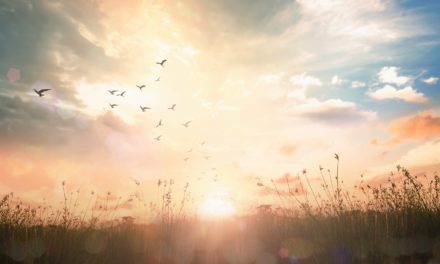 5 Gründe wieso wir Bitcoin brauchen