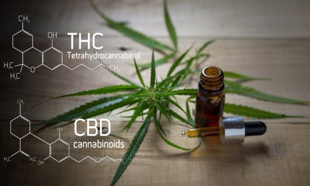 Niederländisches Konsortium bringt CBD auf die Blockchain