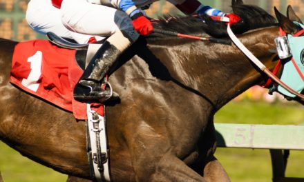 Chainlink (LINK) verdrängt Bitcoin Cash, BTC bald bei 14.000 US-Dollar?