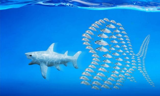 DeFi frisst BTC: Immer mehr Bitcoin landet auf Ethereum