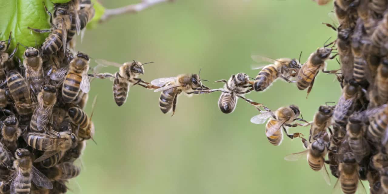 Cashlink und area2invest: Wichtiger Schulterschluss zweier Krypto-Pioniere