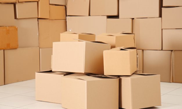 Logistik 2.0 – ZUFALL logistics group setzt auf Blockchain