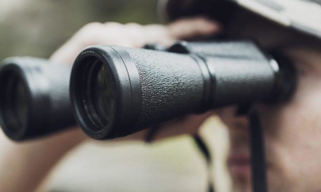 Auf der Pirsch: Bitcoin-Kurs (BTC) jagt die 12.000 US-Dollar