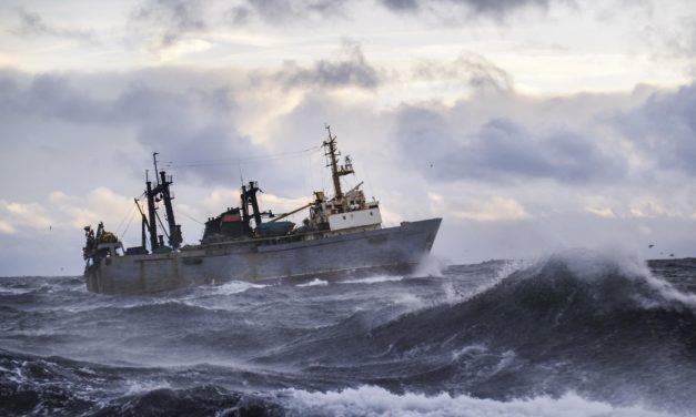 Ethereum Classic: weitere 51%-Attacke auf das Netzwerk