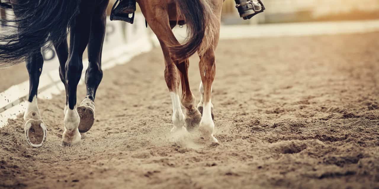 Bitcoin-Kurs (BTC) wankt – Ethereum (ETH) auf Jahreshoch