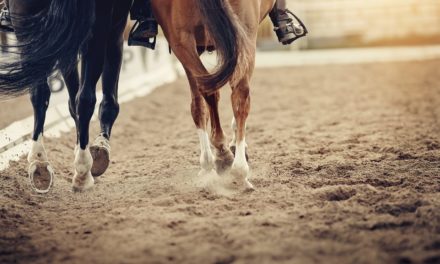 Bitcoin-Kurs (BTC) wankt – Ethereum (ETH) auf Jahreshoch