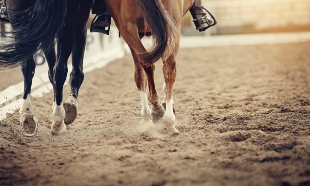 Bitcoin-Kurs (BTC) wankt – Ethereum (ETH) auf Jahreshoch