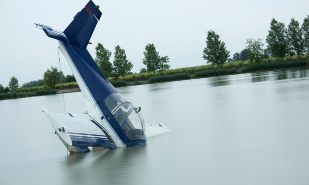 Hotdog Token: Defi-Projekt erleidet 99,9 Prozent Wertverlust in 5 Minuten