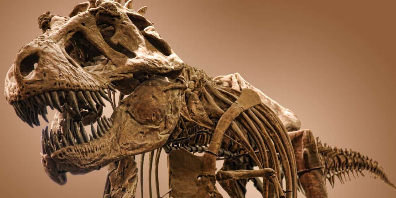 Digitaler Wandel: Lohnt es sich noch in DAX und Co. zu investieren?