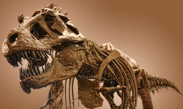 Digitaler Wandel: Lohnt es sich noch in DAX und Co. zu investieren?