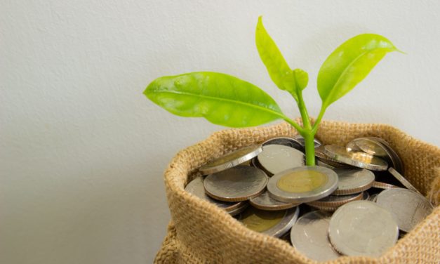 Investments für passives Einkommen: Die höchsten Renditen 2020