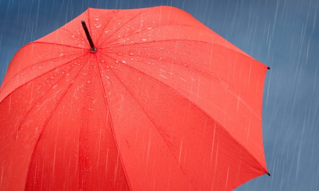 Abverkauf am Gesamtmarkt lässt Ethereum, IOTA und Ripple einbrechen