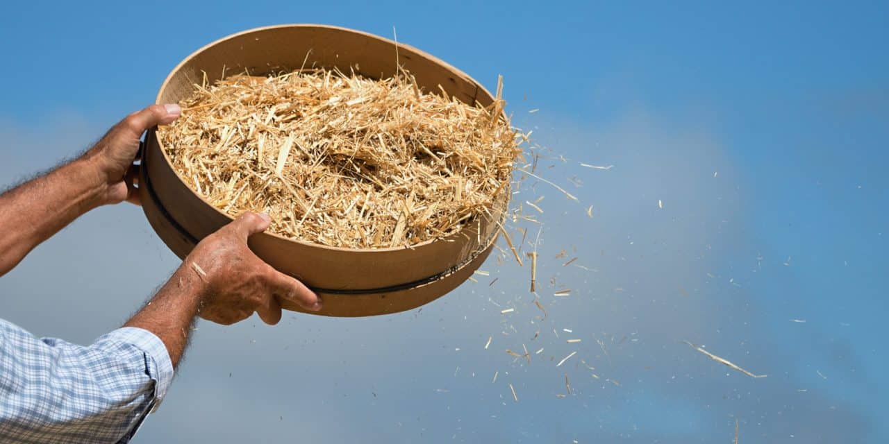 Bitcoin-Kurssturz trennt die Spreu vom Weizen – PlanB