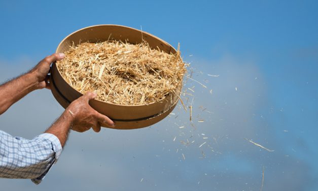 Bitcoin-Kurssturz trennt die Spreu vom Weizen – PlanB