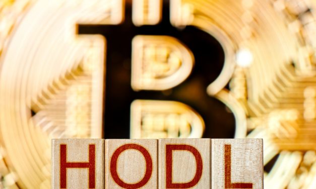 Bitcoin: Long-Positionen nehmen wieder zu – Das Marktupdate