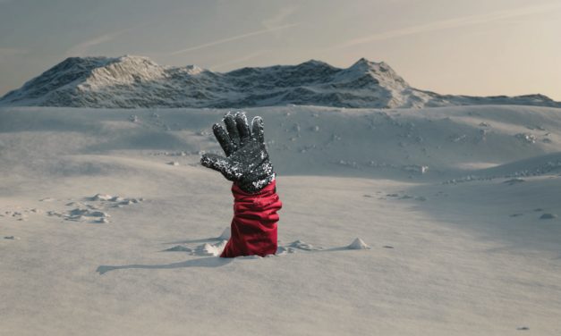 Kursrutsch bei Bitcoin lässt Gesamtmarkt einbrechen