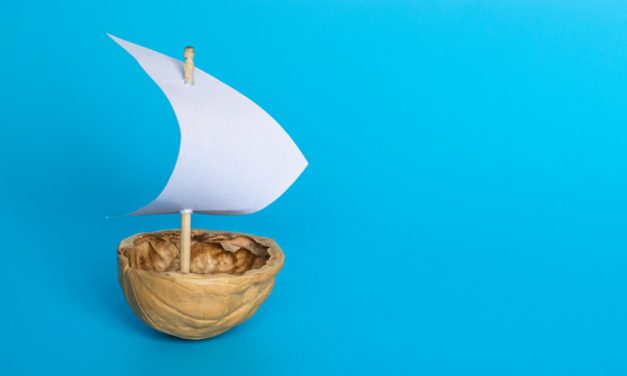 „Alles oder nichts“ – das Bitcoin-Versprechen in der Nussschale