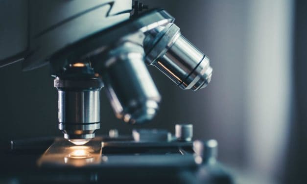 LBCoin auf dem Prüfstand – die weltweit erste CBDC?