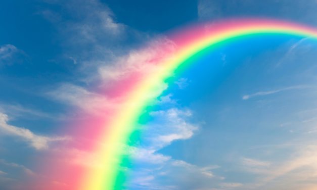 DeFi Pulse Index: Neuer Token ermöglicht breites Investment in DeFi