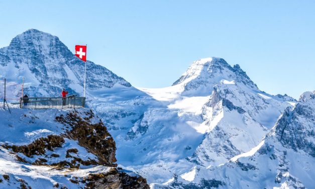 Finanzen: Bitcoin Suisse: DOT, TXZ, DASH und ADA als Kreditsicherheit