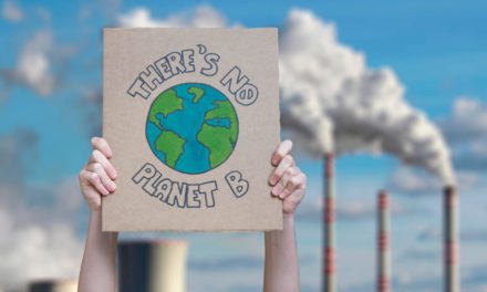 Blockchain – Chancen für den Umweltschutz