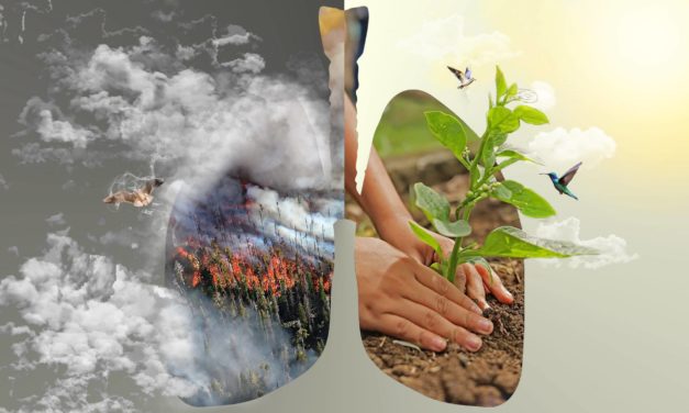 Regenwald im Amazonas: mit Blockchain gegen die Abholzung