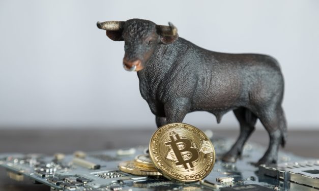 Bitcoin Mining weiter auf Bullenkurs – Das Meinungs-ECHO