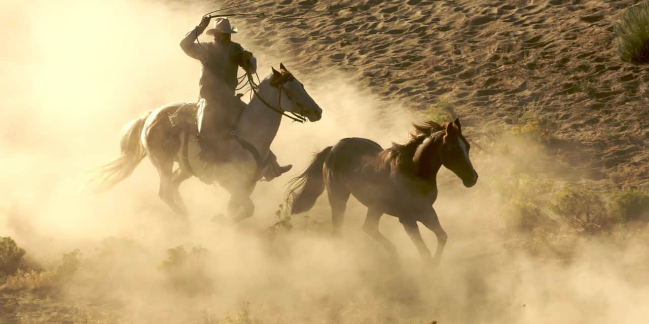 Grayscale hält jetzt 2,6 Prozent der Bitcoin-Umlaufmenge