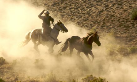 Grayscale hält jetzt 2,6 Prozent der Bitcoin-Umlaufmenge