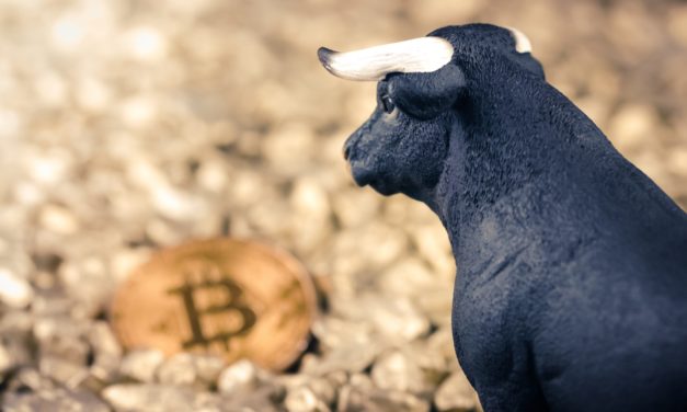 Bullishes BTC-Signal: Immer mehr Bitcoin-Investoren trotz Kurs-Flaute
