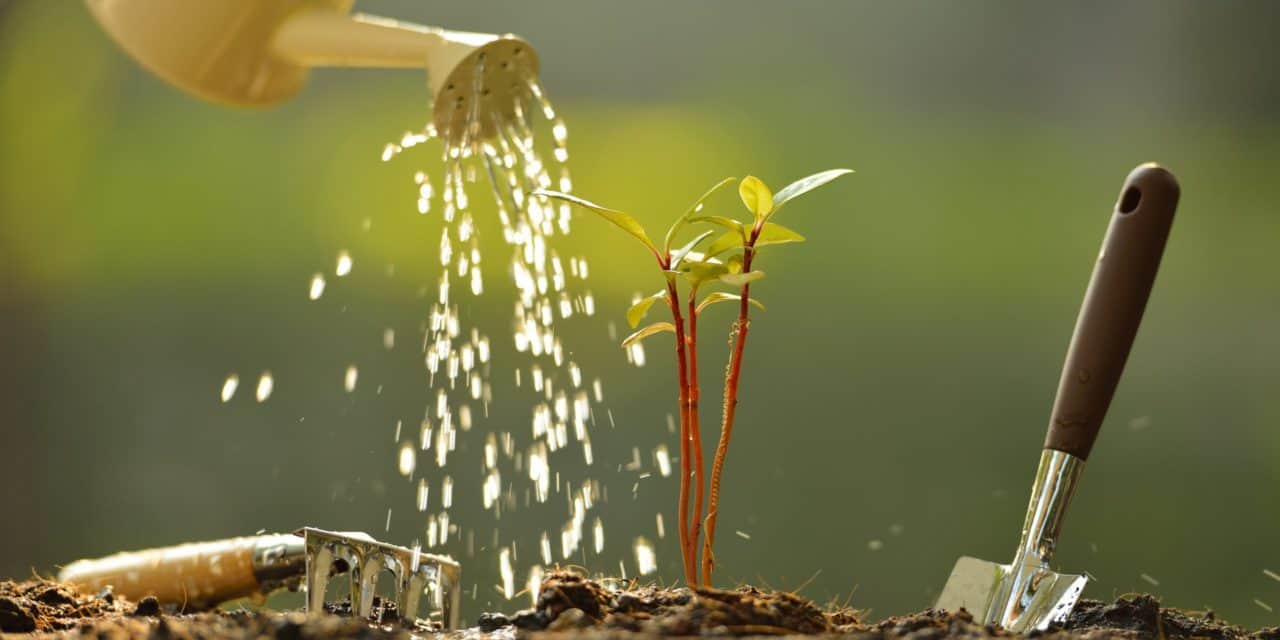 Krypto-Finanzierung: Draper Goren Holm sammelt 25.000.000 USD ein