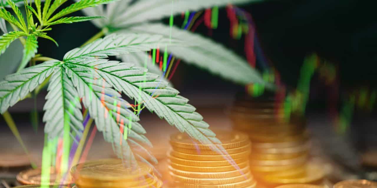 Nach dem Hype: Der Status quo von Cannabis-Währungen