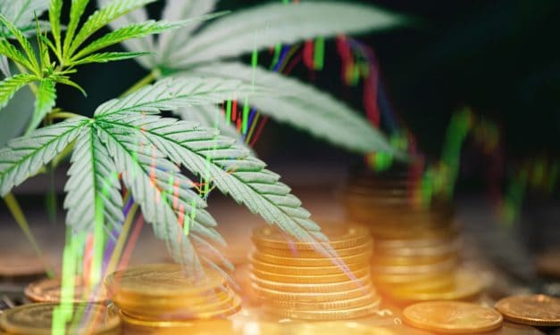 Nach dem Hype: Der Status quo von Cannabis-Währungen