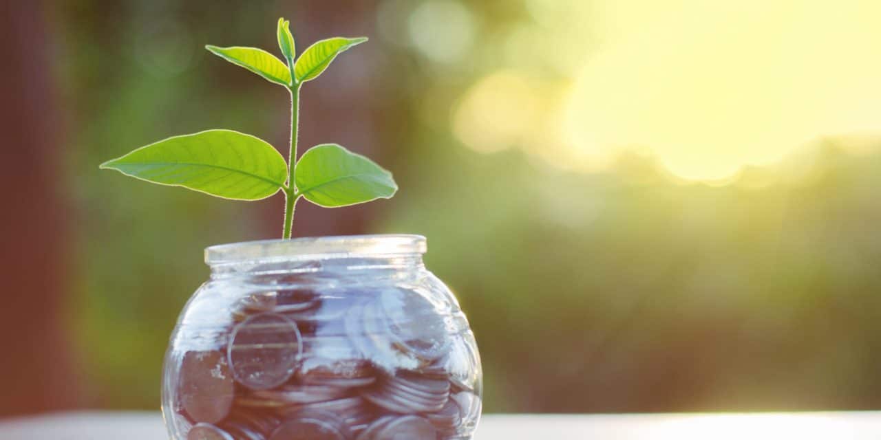 Bis zu 45 Prozent Zinsen verdienen ohne Yield-Farming-Risiken? So geht’s