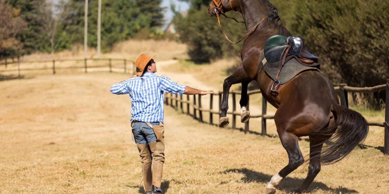 Globale Stable Coins bei FSB: 10 Vorschläge zur Regulierung