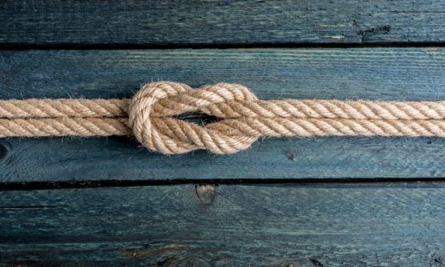 Stable Coin USDCoin findet ein neues Blockchain-Zuhause