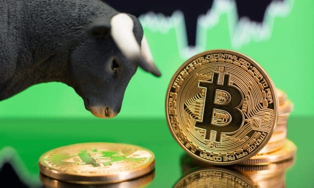 98 Prozent der Bitcoin sind im Plus – Das Marktupdate