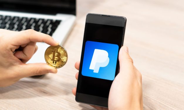 PayPal und der Bitcoin-Bull-Run: Das Meinungs-ECHO