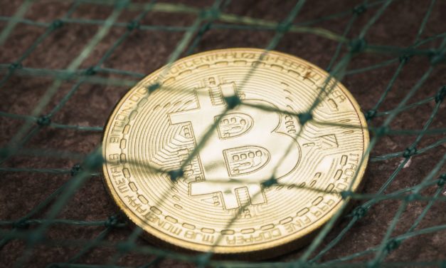Ehepaar wegen Bitcoin-Betrug in Millionenhöhe verurteilt