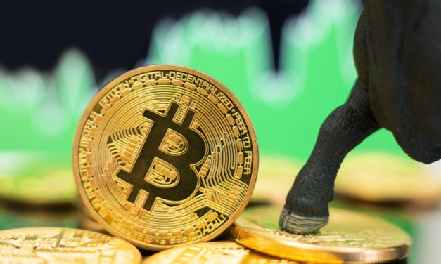 Nur das Vorspiel: Der Bitcoin Bull Run hat noch nicht einmal begonnen
