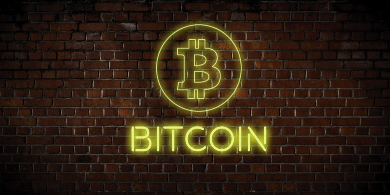 Bitcoiner im Glück: Die BTC-Community dreht bullish