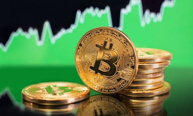 Bitcoin: Knapp 95 Prozent aller Wallet-Adressen im Plus