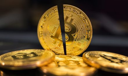 Bitcoin-Kursprognose von Brian Kelly: 5 Monate Halving-Rallye